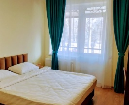 Двухместный номер Standard двуспальная кровать в Парацельс