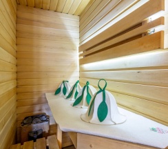 Апартаменты люкс с с сауной и джакузи (SPA) в Loft SPA