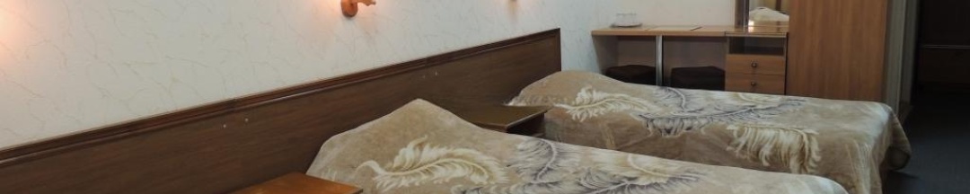 3-местный номер стандарт, вид на завод в Баринова роща