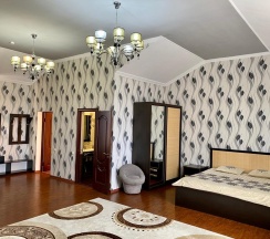 Номер полулюкс с 1 двуспальной кроватью в Classic