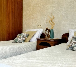 Стандартный 2-местный номер с двумя раздельными кроватями (балкон 2-4 этаж) в Арарат