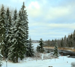 Коттедж ВИП №2 в Дивная бухта Селигер