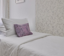 Бюджетный номер с раскладывающийся кроватью в Наше радушие