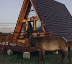 Семейный коттедж с красивым видом из окна в Саянский Марал Аршан