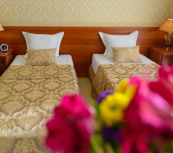 Номер стандарт с 2 односпальными кроватями в Эдэран