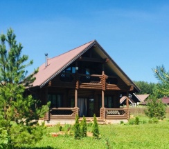 Коттедж в Boroviki house