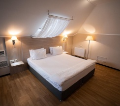 Номер делюкс (мансарда) в Art villa
