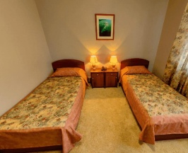 Номер стандарт с 2 односпальными кроватями (с пансионом) в River house