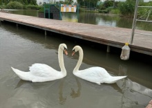 А-фрейм 7 в Family Park