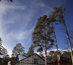 3-комнатная вилла улучшенная в Residence Village