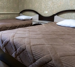 Стандарт с двумя раздельными кроватями  в АэроОтель