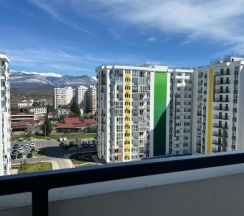 Однокомнатный Делюкс (166) в Frukty Rent