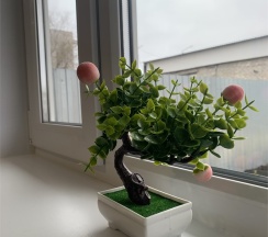 Улучшенный 4-х местный семейный номер. в Пол&Пути