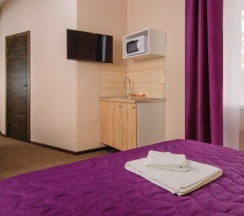 Делюкс с мини кухней в Ring Road Hotel