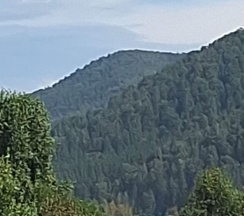 Дом в МанжероКинг