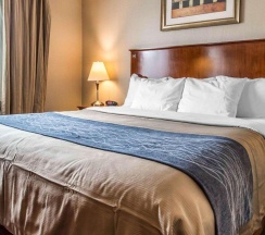 Двухместный номер Standard в Avion Inn Near LGA Airport, Ascend Hotel Collection