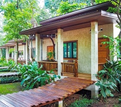 Одноместный номер Deluxe односпальная кровать в Naiyang Park Resort