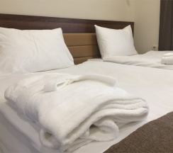 Улучшенный с 1 или 2-я кроватями в Forton hotel