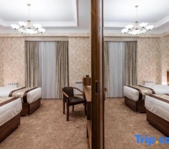 Двухместный номер Standard двуспальная кровать в Отель Michelin