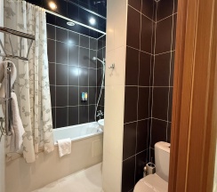 Люкс в Метелица