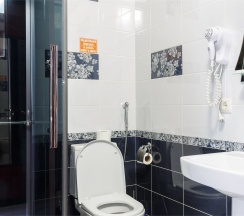 Двухместный номер с 1 кроватью в Hotel Orange