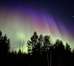 Дом в Ellwood Eco Village