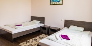 Каштан: Отель Texas inn express