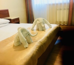 Стандартный двухместный номер с 1 кроватью или 2 отдельными кроватями в Эдельвейс