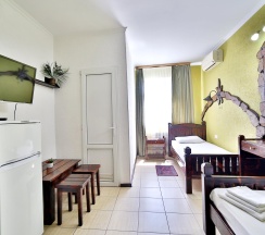 Номер стандарт, 22 м² в Delsochi