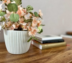 Студия Плюс в Маяк дом