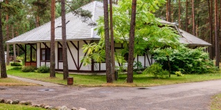 Печки: Коттедж Плесков