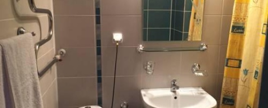 1-местный номер стандарт с 1 односпальной кроватью (с завтраком) в Алейка