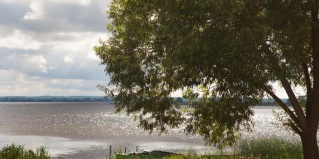 Ростов: Отель Bravis