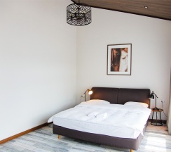 номер стандартный 211 в Панорама