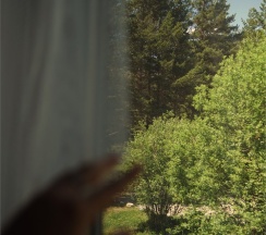 STANDARD+ ROOM в Skazka Lodge