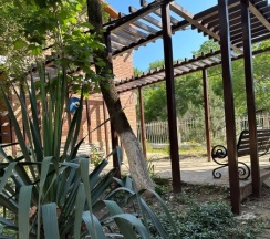 3DF Трехместный номер DOG-FRIENDLY в Дивное