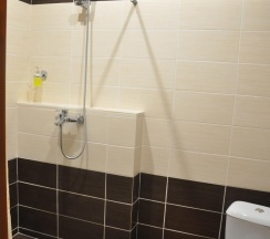 Номер стандарт эконом с 1 двуспальной кроватью в Залесный