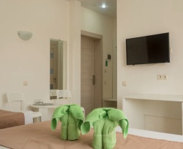 De luxe Triple (2+1) в Green Elephant