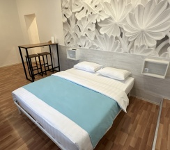 1-комнатные апартаменты студия с 1 двуспальной кроватью в Баринн