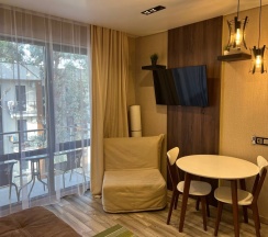 Студия трехместная в Свои в Мадриде