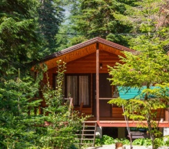 Двухместное шале с красивым видом из окна двуспальная кровать в Forest house resort