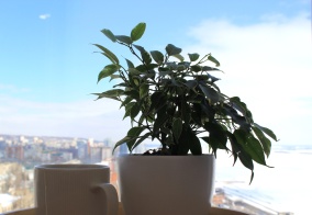 Апартаменты Апартаменты на 4-й Волжский проезд, 20 в Саратове