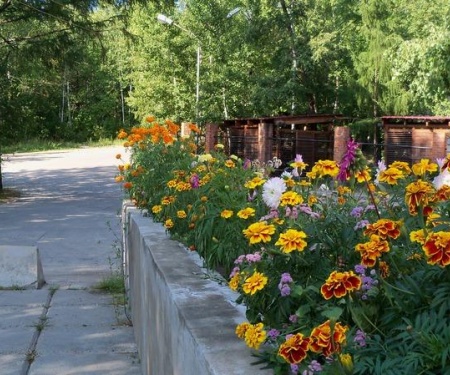 Отель Северная жемчужина в Зее