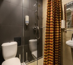 Номер стандарт с 1 двуспальной кроватью в Laska hotel