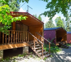 Двухместное шале Classic с красивым видом из окна двуспальная кровать в Forest house resort