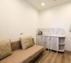 Двухместный номер с общим душем и туалетом в Apart house