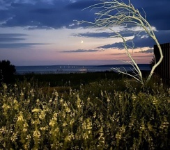 Дом в Вдохновись