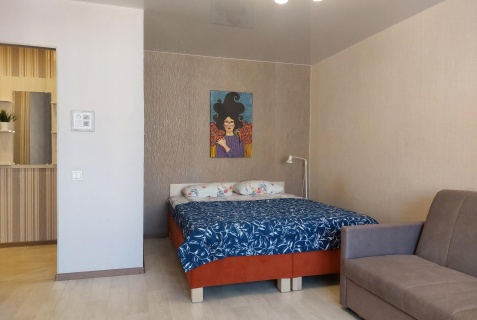 Петрозаводск: Апартаменты Olivinn на улице Анохина 26