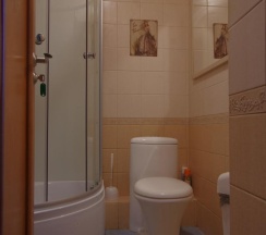 Номер стандарт с 1 двуспальной кроватью в Дом Ильяшева