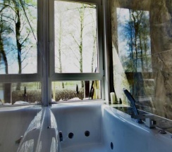 Двухместное бунгало Superior двуспальная кровать в Lake-Ville